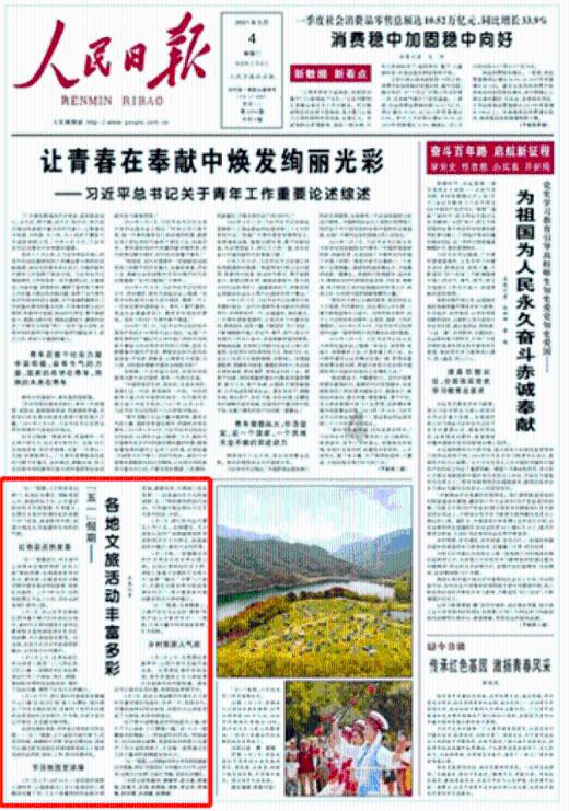 燃烧吧大脑免广告最新版